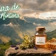 Miel de montaña.