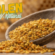 Polen de abejas natural