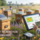 Abejas y tecnología: