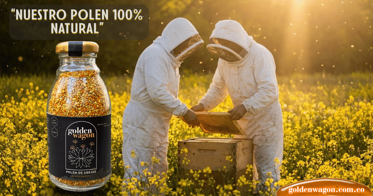 🐝 Secretos del apicultor: cómo se recolecta polen de abejas
