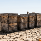 cambio climático producción miel