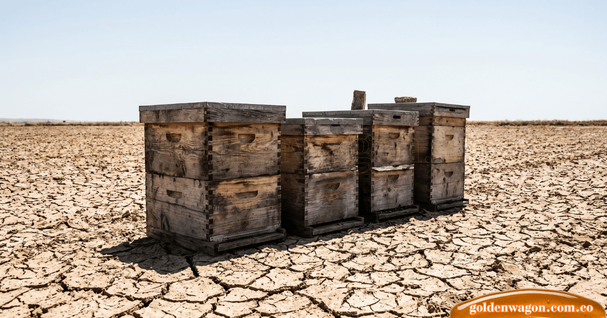 🍯 El cambio climático y producción de miel: Un impacto global